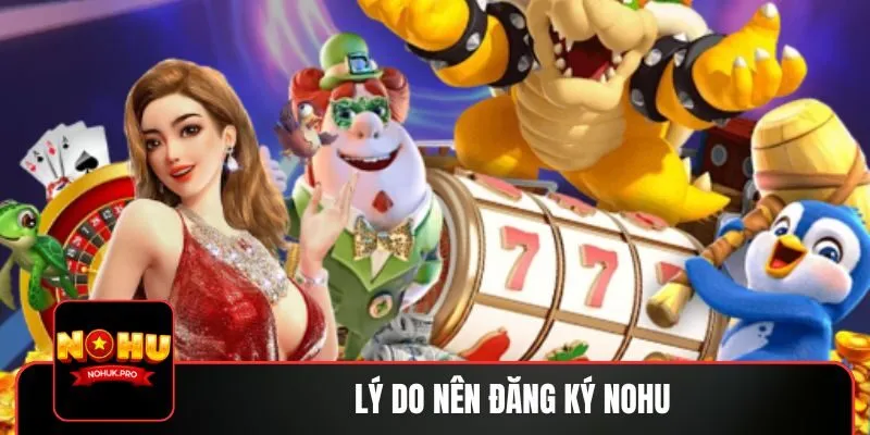 Lỗi thường gặp khi đăng ký NOHU và cách xử lý