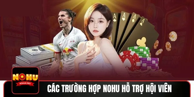 Giới thiệu miễn trừ trách nhiệm NOHU
