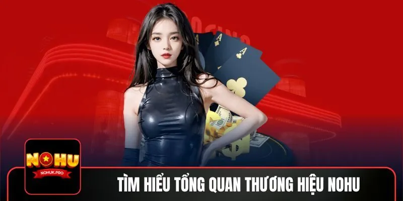 Tìm hiểu tổng quan thương hiệu NOHU