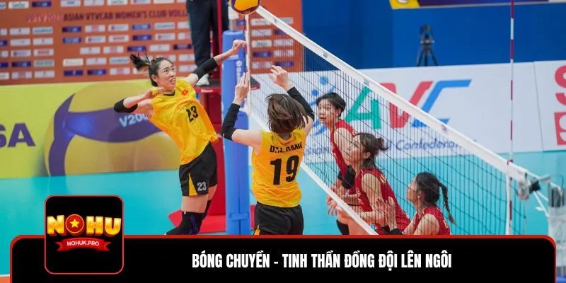 Bộ môn bóng chuyền cũng nhận được nhiều sự quan tâm của người chơi