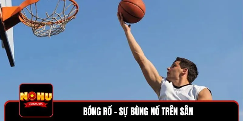 Tìm hiểu về bộ môn giải trí bóng rổ đầy kịch tính
