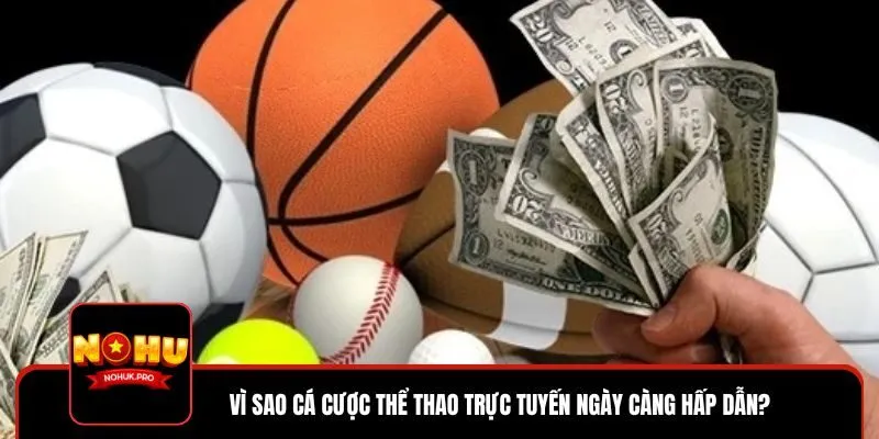 Cá cược thể thao là lĩnh vực được rất nhiều người chơi yêu thích