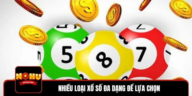Đa dạng loại hình phù hợp với nhiều sở thích